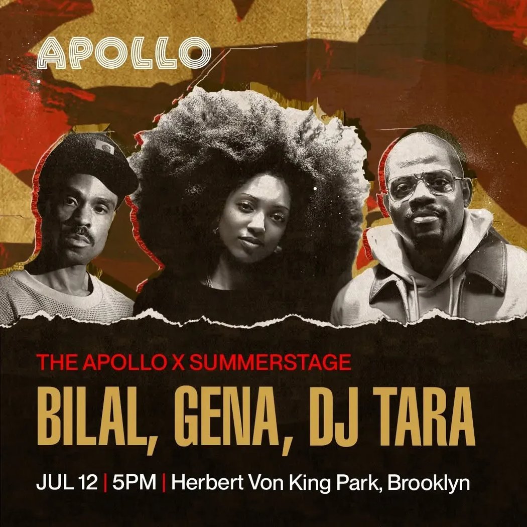 SummerStage: Bilal / GENA / DJ Tara 1